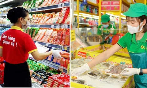 Bách Hóa Xanh – WinCommerce: Tăng tốc trên đường đua lợi nhuận và mở rộng