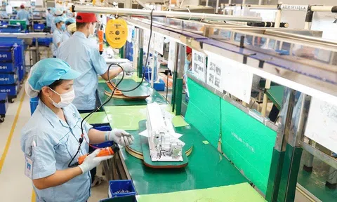 Doanh nghiệp thành lập mới trong tháng 7 giảm cả về lượng và vốn