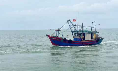 Ngành, nghề liên quan đến nông nghiệp và môi trường được ưu đãi thuế thu nhập doanh nghiệp