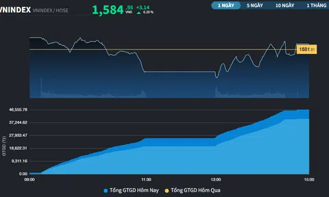 Dòng tiền luân chuyển tới Bất động sản và Dầu khí
