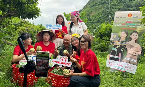 Cây na Võ Nhai lần đầu “lên sóng” TikTok