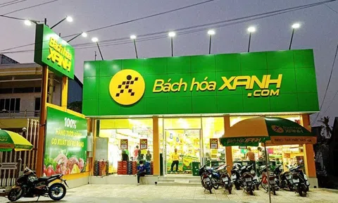Bách Hóa Xanh dự kiến lãi hơn 600 tỷ đồng năm 2025, sẽ “Bắc tiến” vào năm sau