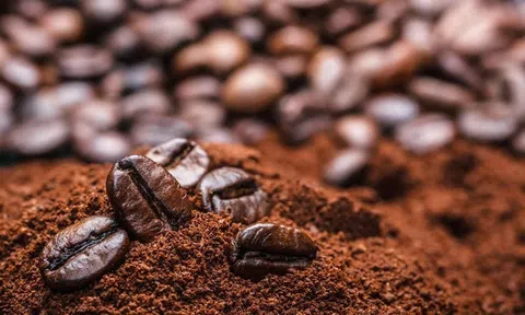 Giá cà phê hôm nay 19/8/2025: Tăng 300 đồng/kg