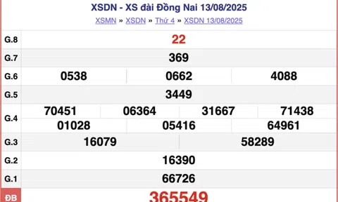 Kết quả xổ số Đồng Nai hôm nay 20/8/2025 - XSDN 20/8