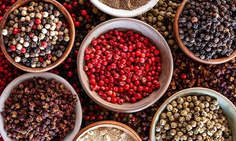 Giá tiêu hôm nay 23/8/2025: Tăng mạnh lên 146.000 đồng/kg, thị trường thế giới khan hiếm nguồn cung