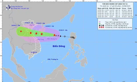 Quảng Ninh chủ động phòng, chống, ứng phó với cơn bão số 5 Kajiki