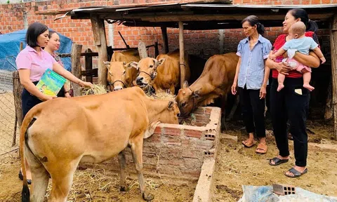 Ayun Pa-Gia Lai: Vốn tín dụng chính sách là trụ cột quan trọng xoá đói, giảm nghèo và hướng tới làm giàu cho đồng bào