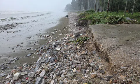 Thanh Hoá đối mặt nguy cơ sạt lở và nước biển dâng tại vùng ven biển