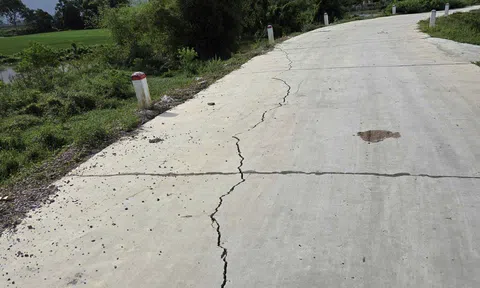 Khẩn trương xử lý, khắc phục các sự cố đê tại Thanh Hóa