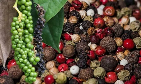 Giá tiêu hôm nay 27/8/2025: Tăng nhẹ trong nước, thị trường  biến đổi trái chiều