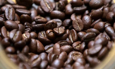 Giá cà phê hôm nay 30/8/2025: Giảm mạnh tại Tây Nguyên, Arabica tiếp tục đi xuống