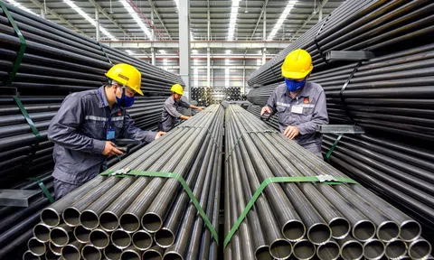 Chủ động phòng vệ thương mại thúc đẩy kinh tế tư nhân trong chuỗi cung ứng toàn cầu