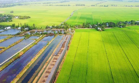 Công nghệ hỗ trợ canh tác lúa thông minh giúp giảm phát thải khí Mê-tan trong sản xuất nông nghiệp