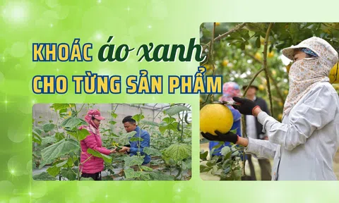 Khoác áo xanh cho từng sản phẩm - Bài 4: Chứng nhận xanh – tấm vé thông hành hay thử thách?