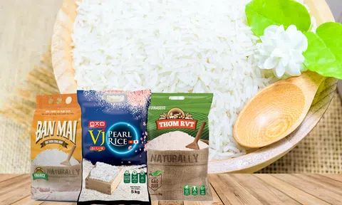Hợp tác công nghệ xanh - Chắp cánh cho hạt gạo Việt vươn xa, chinh phục thị trường cao cấp