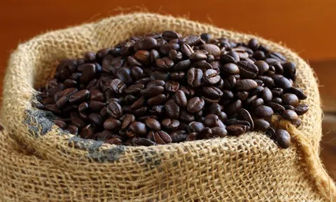 Giá cà phê hôm nay 6/9/2025: Bất ngờ giảm trở lại