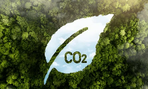 Các ông lớn lùi bước trước cam kết Net Zero