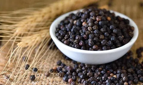 Giá tiêu hôm nay 15/9/2025: Trong nước dao động từ 148.000 đến 151.000 đồng/kg