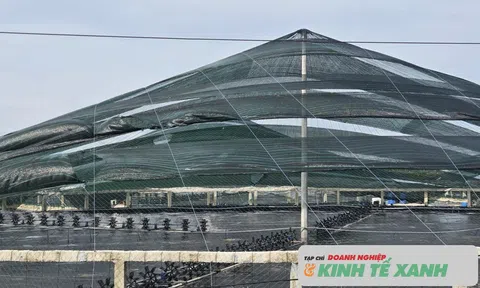 Thanh Hóa: Hiệu quả từ mô hình nuôi thủy sản thân thiện với môi trường