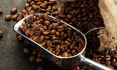 Giá cà phê hôm nay 17/9/2025: Trong nước bật tăng mạnh