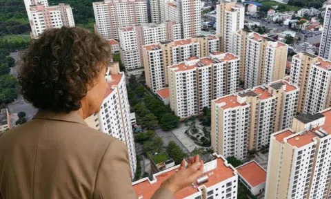 Gia tộc kín tiếng tham gia đấu giá 3.790 căn tái định cư tại Thủ Thiêm đang sở hữu những bất động sản nào?