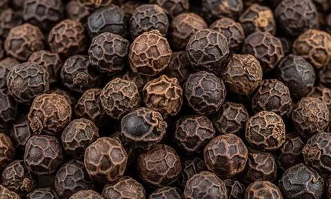 Giá tiêu hôm nay 21/9/2025: Hàng tồn kho giảm, triển vọng giá tiếp tục neo cao