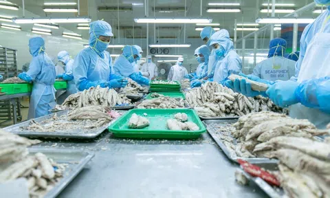 Xuất khẩu thủy sản năm 2026 được dự báo đối diện nhiều khó khăn