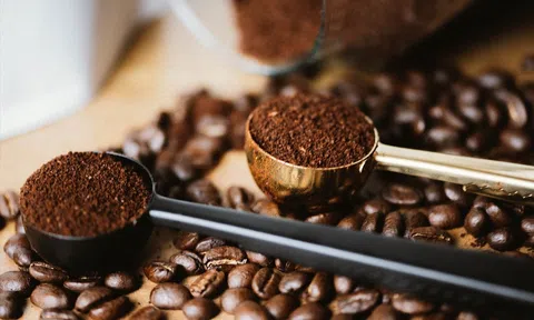 Giá cà phê hôm nay 22/9/2025: Giảm sâu