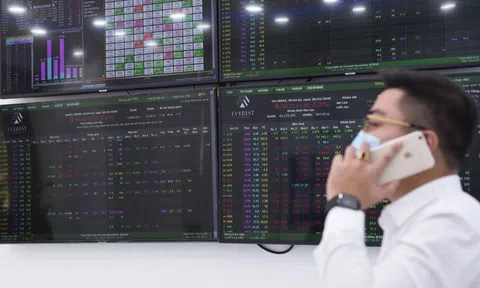 Chứng khoán SBSI muốn tăng vốn hơn 6 lần, nhân sự từ MSB làm Giám đốc Tài chính