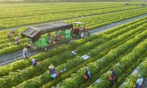 Bảo hiểm Ngân hàng Nông nghiệp tăng vốn điều lệ thêm 40%, lên hơn 1.000 tỷ đồng