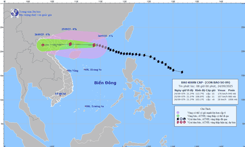 Tỉnh Lào Cai chủ động các biện pháp ứng phó ở mức cao nhất với bão số 9 (Ragasa)