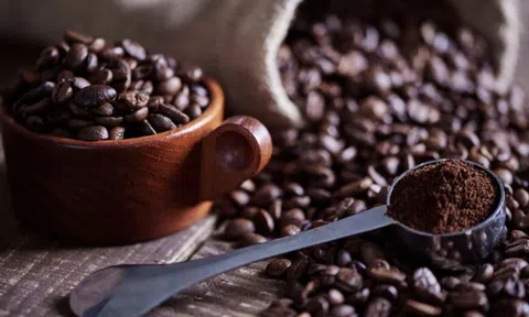 Giá cà phê hôm nay 26/9/2025: Trong nước tăng sốc, quốc tế chao đảo vì thuế Mỹ