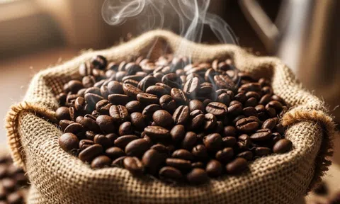 Giá cà phê hôm nay 27/9/2025: Giảm mạnh