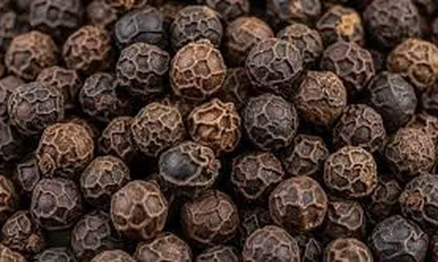 Giá tiêu hôm nay 29/9/2025: Trong nước “án binh bất động”, Malaysia bất ngờ tạo sức ép quốc tế