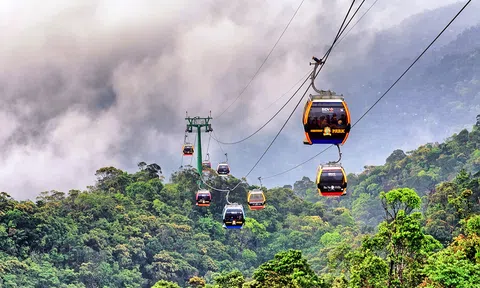 Quy mô tài sản của Cáp treo Fansipan tăng gấp đôi, vượt 14.000 tỷ đồng