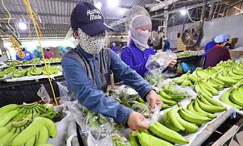 Hiến kế đưa sản phẩm OCOP vươn tầm quốc tế