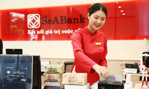 SeABank nhận giải ngân toàn bộ 80 triệu USD từ FMO và Proparco