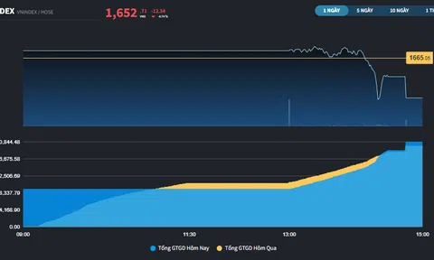 Rung lắc mạnh tại nhóm Midcap và Penny