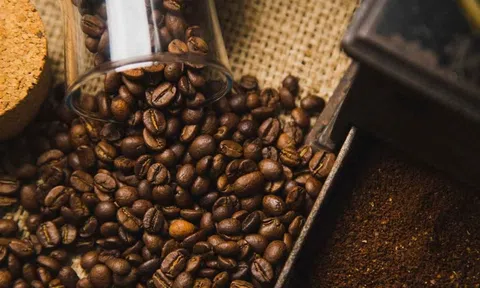Giá cà phê hôm nay 5/10/2025: Bật tăng mạnh, vượt 116.000 đồng/kg - Thị trường thế giới “dậy sóng”
