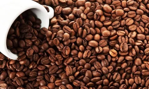 Giá cà phê hôm nay 7/10/2025: Ổn định so với hôm qua