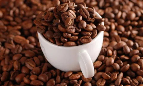 Giá cà phê hôm nay 10/10/2025: Quay đầu tăng 1.000 đồng/kg