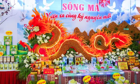 250 gian hàng quy tụ tại hội chợ nông sản lớn nhất Tây Bắc