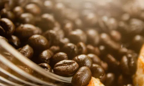 Giá cà phê hôm nay 15/10/2025: Tăng nhẹ 700 đồng/kg