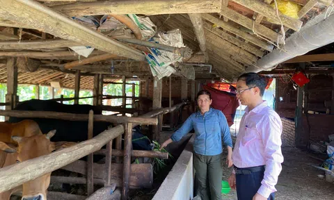 Tín dụng chính sách mang tới “sức sống mới” trên quê hương Sơn Tịnh