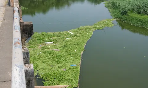 Phú Thọ: Giám sát chất lượng nước thải chăn nuôi tại 47 trang trại