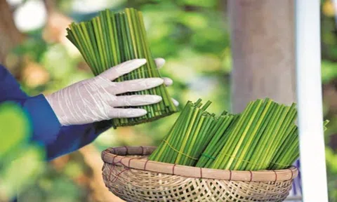 Hà Nội thúc đẩy tiêu dùng xanh tại xã Sóc Sơn và xã Kim Anh