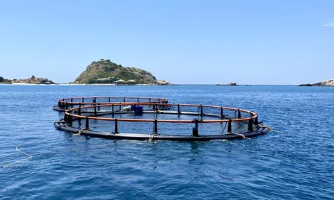 Khánh Hòa: Tăng cường quản lý nhà nước về kinh tế bảo đảm mục tiêu tăng trưởng hai con số trong giai đoạn mới