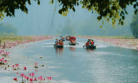Thu NSNN của Ninh Bình trong 9 tháng tăng 70,9% so với cùng kỳ năm trước