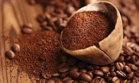 Giá cà phê hôm nay 27/10/2025: Giá cà phê trong nước cao nhất 116.500 đồng/kg