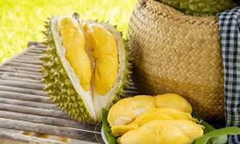 Giá sầu riêng hôm nay 27/10/2025: Thị trường biến động